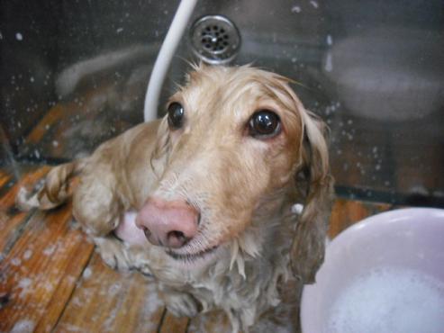 ファイル 1321-2.jpg