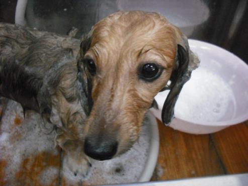 ファイル 1322-2.jpg