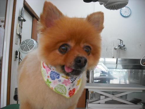 ファイル 1324-1.jpg