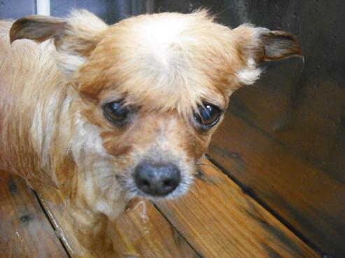 ファイル 1324-2.jpg