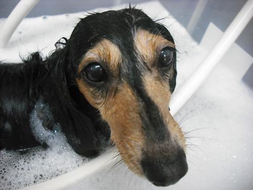 ファイル 1327-2.jpg