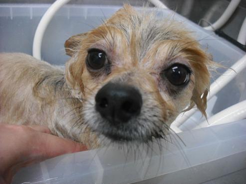 ファイル 1328-2.jpg