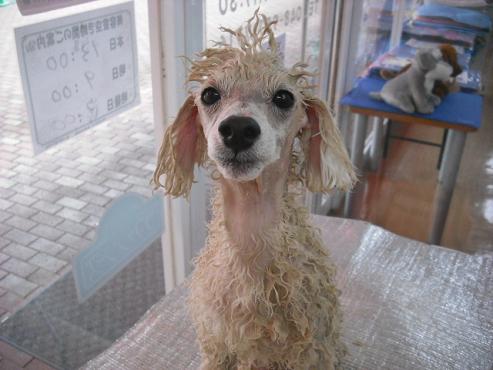 ファイル 1329-2.jpg