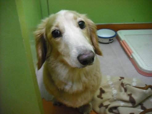 ファイル 133-1.jpg