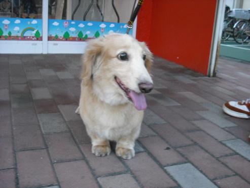 ファイル 133-2.jpg