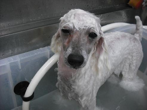 ファイル 1330-2.jpg