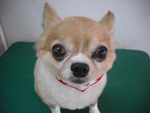 ファイル 1334-1.jpg