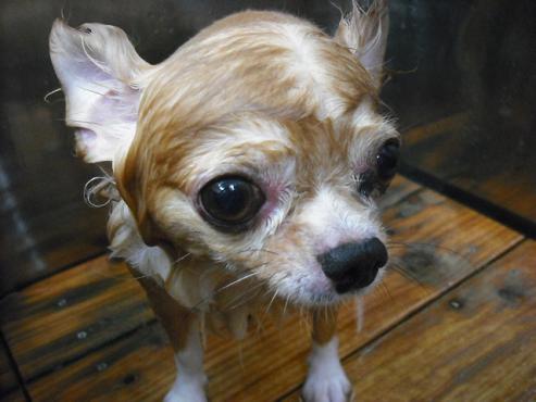 ファイル 1334-2.jpg