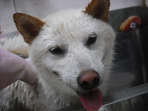 ファイル 1335-2.jpg