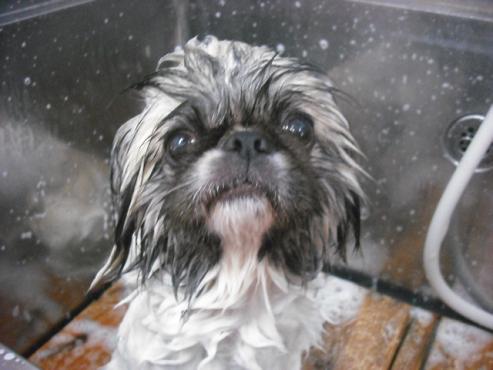 ファイル 1337-2.jpg