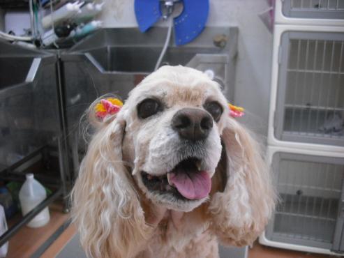 ファイル 1339-2.jpg