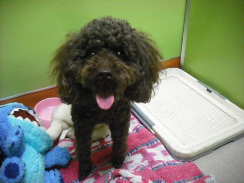 ファイル 134-1.jpg