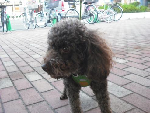 ファイル 134-2.jpg