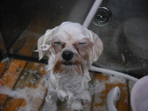 ファイル 1340-2.jpg