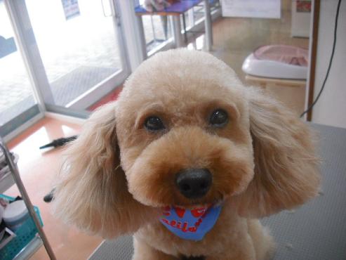 ファイル 1341-1.jpg