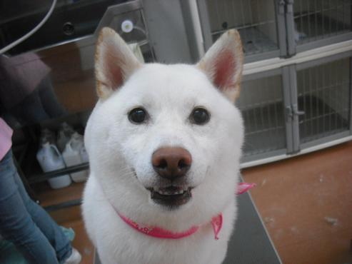 ファイル 1342-1.jpg