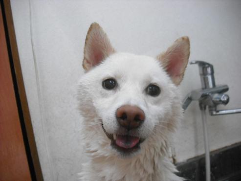 ファイル 1342-2.jpg