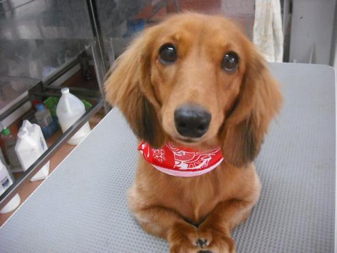 ファイル 1343-1.jpg