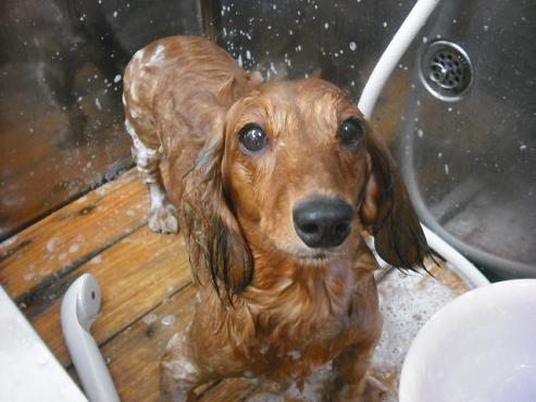 ファイル 1343-2.jpg