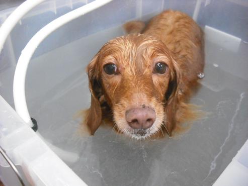 ファイル 1344-2.jpg