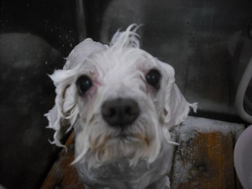 ファイル 1345-2.jpg