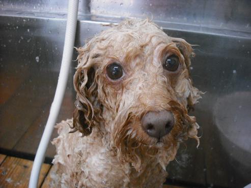 ファイル 1346-2.jpg