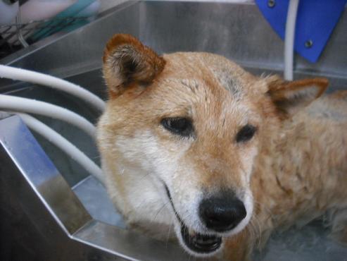 ファイル 1347-2.jpg