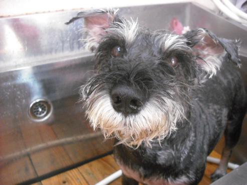 ファイル 1349-2.jpg