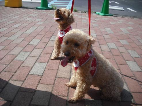 ファイル 135-1.jpg