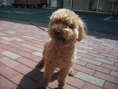 ファイル 135-2.jpg