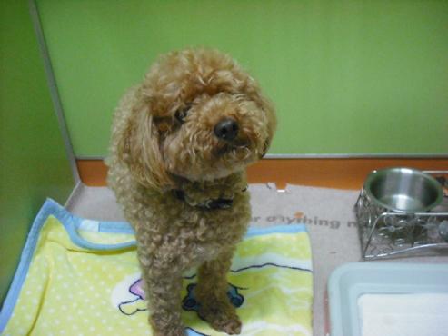 ファイル 135-3.jpg