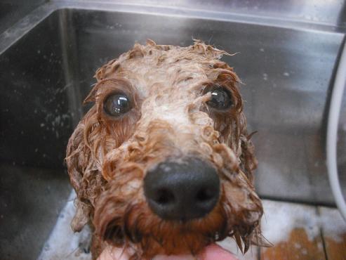 ファイル 1351-2.jpg