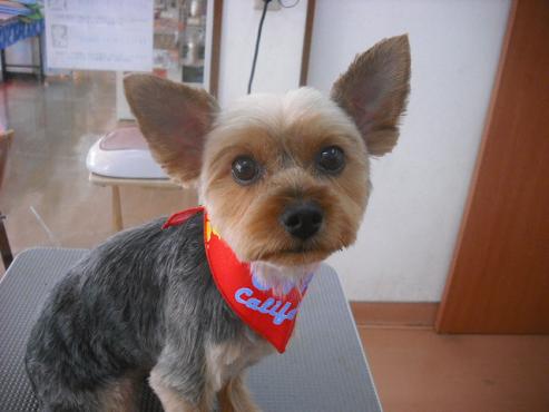 ファイル 1352-1.jpg