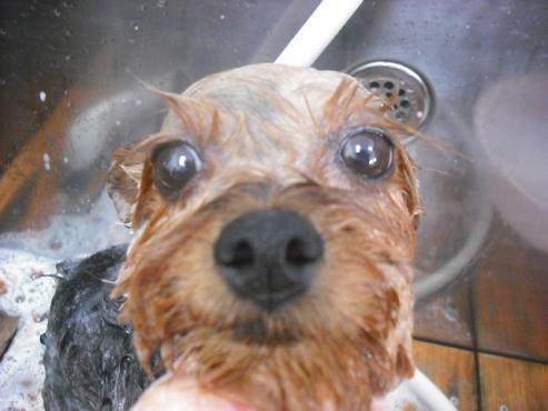 ファイル 1352-2.jpg