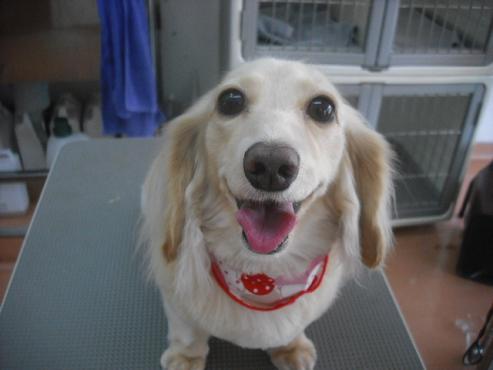 ファイル 1353-1.jpg