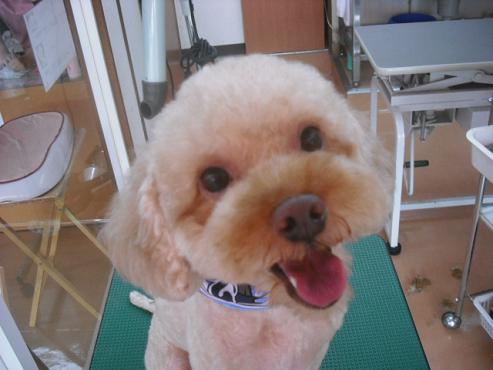 ファイル 1354-1.jpg