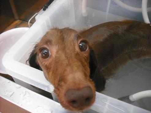 ファイル 1355-2.jpg