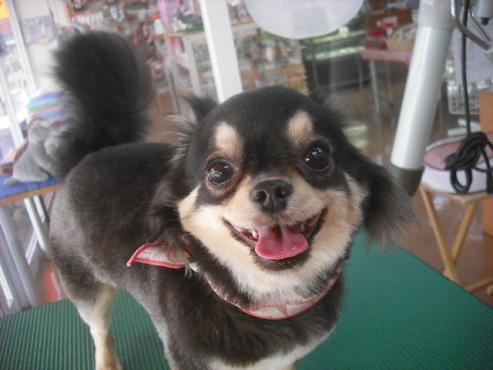 ファイル 1356-1.jpg