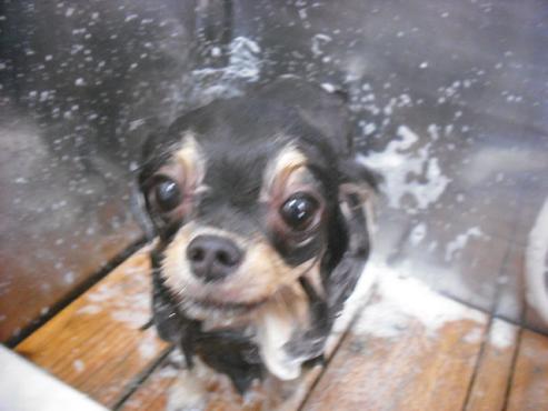 ファイル 1356-2.jpg