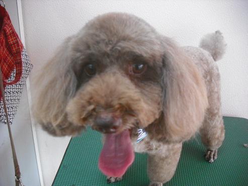 ファイル 1357-1.jpg