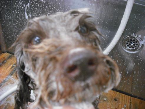 ファイル 1357-2.jpg