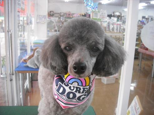 ファイル 1358-1.jpg