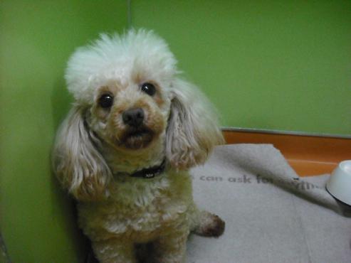 ファイル 136-2.jpg