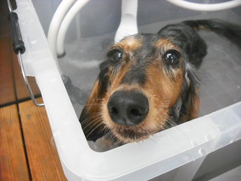 ファイル 1360-2.jpg