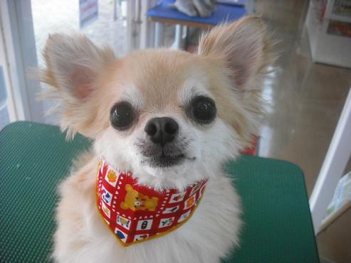 ファイル 1361-1.jpg