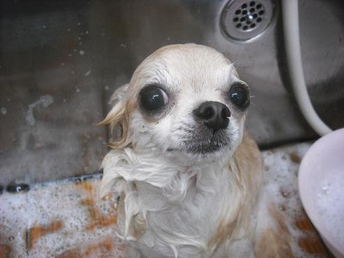 ファイル 1361-2.jpg