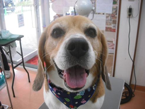 ファイル 1362-1.jpg