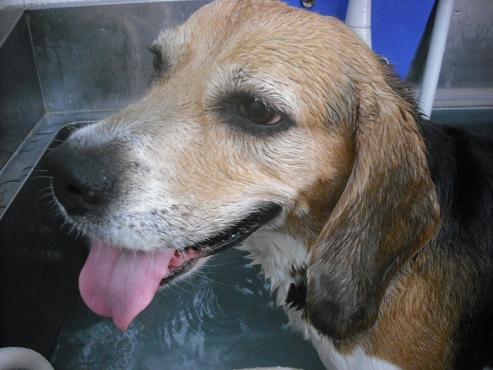 ファイル 1362-2.jpg