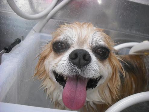 ファイル 1364-2.jpg