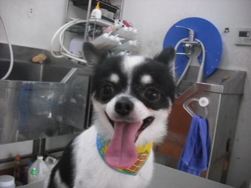 ファイル 1365-2.jpg